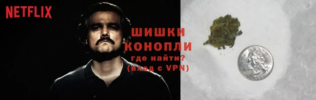 шишки Балахна