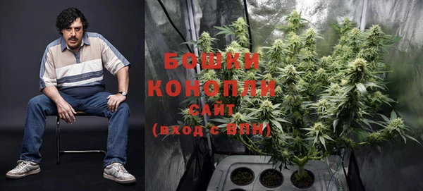 шишки Балахна