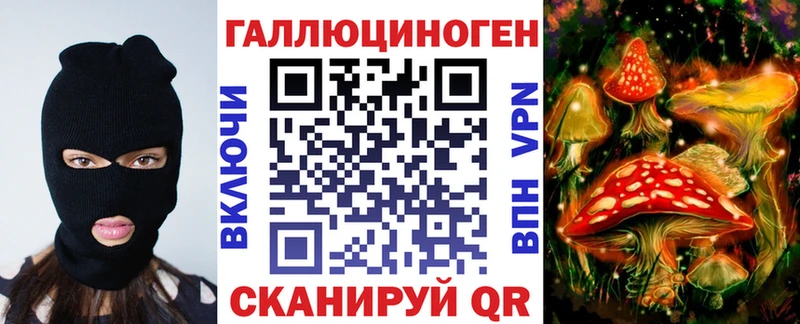 МЕГА маркетплейс  наркотики  Вилючинск  Псилоцибиновые грибы MAGIC MUSHROOMS 